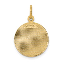 14K Yellow Gold Satin and Polished Communion Round Disc Charm view 4