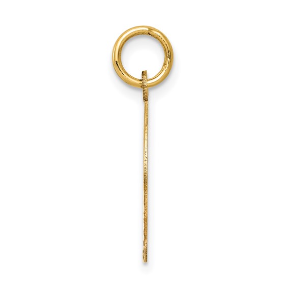 14k Polished CONFIRMATION with Dove Round Charm