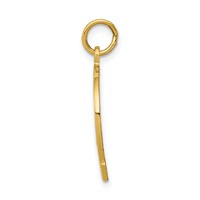 14K Yellow Gold Good Luck Horseshoe Charm view 2