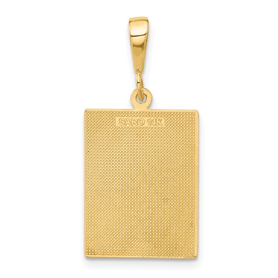 14k Textured Back Caduceus Pendant