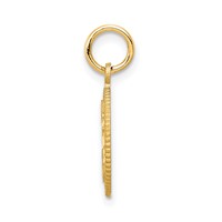 14K Yellow Gold Circle Pendant - 15in view 2