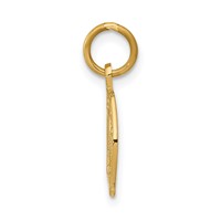 14K Yellow Gold Horseshoe Charm view 2