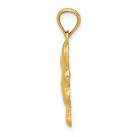 14K Yellow Gold Satin Diamond-cut Shamrock Charm view 2