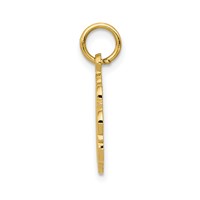 14K Yellow Gold RN Registered Nurse Textured Back Disc Charm view 2