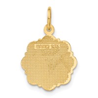 14K Yellow Gold RN Registered Nurse Textured Back Disc Charm view 3
