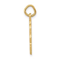 14K RN Registered Nurse Textured Back Disc Charm view 2