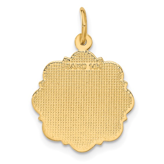 14k RN Registered Nurse Textured Back Disc Charm
