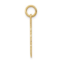 14K Yellow Gold RN Registered Nurse Textured Back Disc Charm view 2