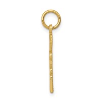 14K Yellow Gold Rnp Registered Nurse Practitioner Charm view 2