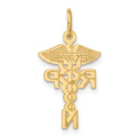 14K Yellow Gold Rnp Registered Nurse Practitioner Charm view 3