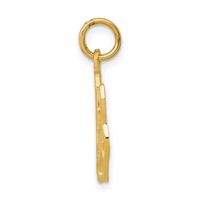 14K Yellow Gold Textured Hound Dog Charm view 2