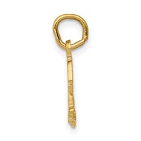 14K Yellow Gold Tiger Charm view 2