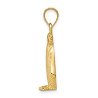 14K Yellow Gold Polished and Textured Penguin Charm view 2