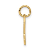 14K Yellow Gold Racing Flags Speed Freak Charm view 2