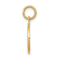 14K Yellow Gold Polished Angel Round Charm view 2