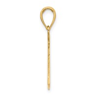 14K Yellow Gold Cut-Out Paramedic Charm view 2