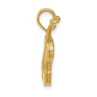 14K Yellow Gold Polished Solid 3-D Violin Pendant view 2