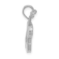 14K White Gold Polished Solid 3-D Violin Pendant view 2