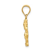14K Yellow Gold Satin Diamond-cut Open-Backed Palm Trees Pendant view 2