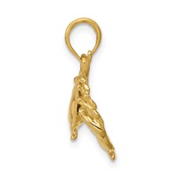 14K Yellow Gold Polished Open-Backed Crab Pendant view 2