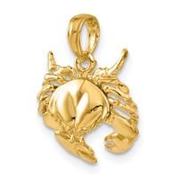 14K Yellow Gold Polished Open-Backed Crab Pendant view 5