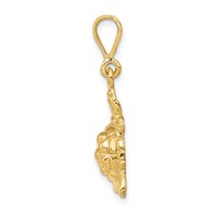 14K Yellow Gold Solid Polished Open-Backed Sea Turtle Charm view 2