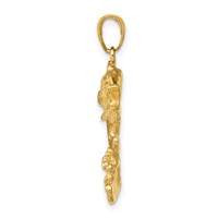 14K Yellow Gold Polished Open-Backed Bass Fish Pendant view 2