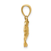 14K Yellow Gold Polished Open-Backed Bass Fish Pendant view 2