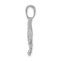 14K White Gold Polished Open-Backed Bass Fish Pendant view 2