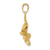 14K Yellow Gold Polished Open-Backed Snook Redfish Pendant view 2