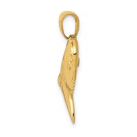 14K Yellow Gold Solid Polished 3-D Shark Tooth Pendant view 2