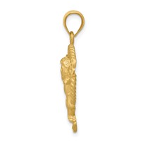 14K Yellow Gold Satin Diamond-cut Angel in Circle Pendant view 2