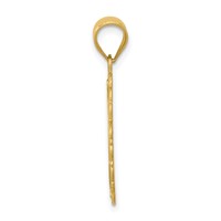 14K Yellow Gold Solid Satin Polished Leo Zodiac Oval Pendant view 2