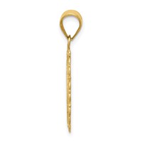 14K Solid Satin Polished Capricorn Zodiac Oval Pendant view 2