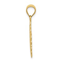 14K Yellow Gold Solid Satin Polished Aquarius Zodiac Oval Pendant view 2
