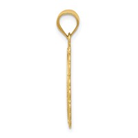 14K Yellow Gold Solid Satin Polished Pisces Zodiac Oval Pendant view 2