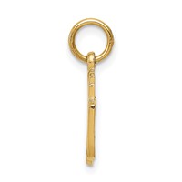 14K Yellow Gold 50th Anniversary Charm view 2