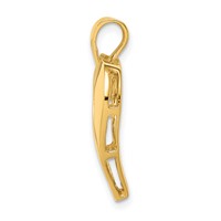 14K Yellow Gold Polished Heart Pendant view 2
