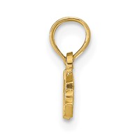 14K Yellow Gold Nurse Pendant view 2