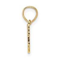 14K Yellow Gold Someone Special Charm view 2