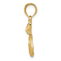 14K Yellow Gold Satin Diamond-cut Cat Charm view 2