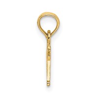 14K Yellow Gold Papa Charm view 2