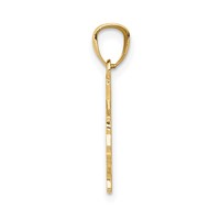 14K Yellow Gold State of Texas Map Pendant view 2