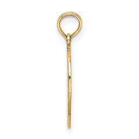 14K Yellow Gold Cut-out New York Charm with Statue of Liberty in Apple view 2
