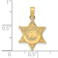 14K Yellow Gold Deputy Sheriff Badge Pendant with Bear view 4
