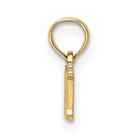 14K R.n. Charm view 2