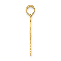 14K Yellow Gold Caduceus Pendant with Nurses Cap view 2
