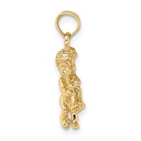 14K Yellow Gold 3-D Gemini Zodiac Charm view 2