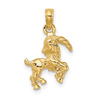 14K Yellow Gold 3-D Capricorn Zodiac Charm view 4