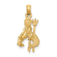 14K Yellow Gold 3-D Aquarius Zodiac Charm view 4